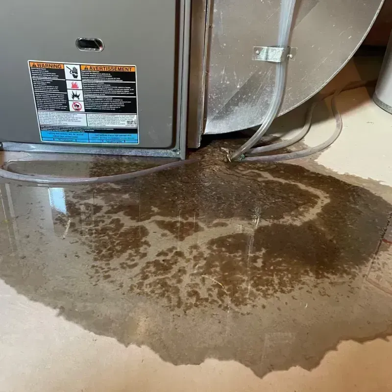 Appliance Leak Cleanup in Ladue, MO